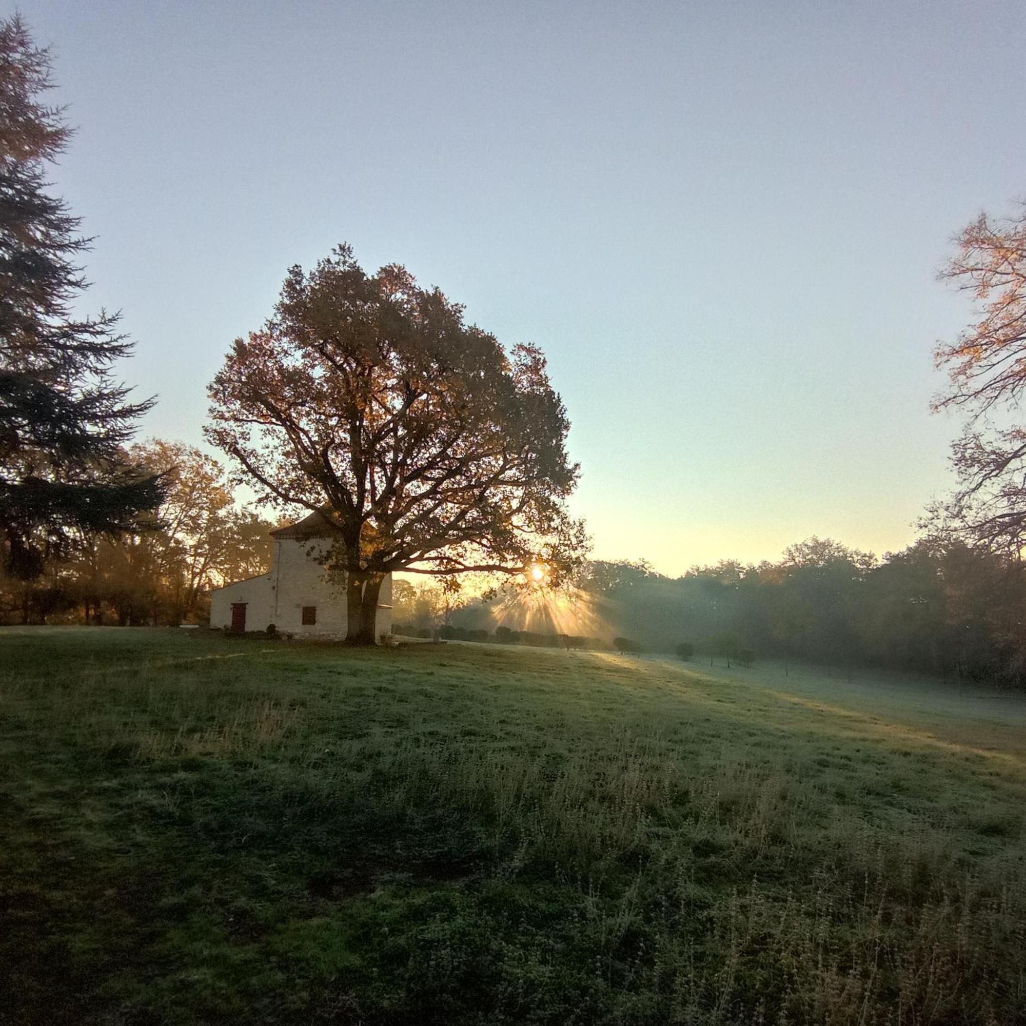 Domaine De La Borde Villa Puy-lʼÉvêque Eksteriør billede